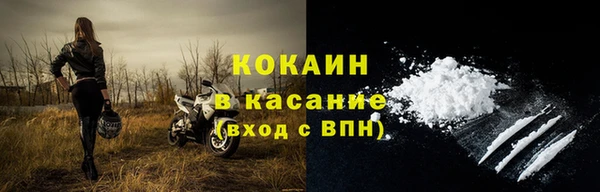 соль ск Алзамай