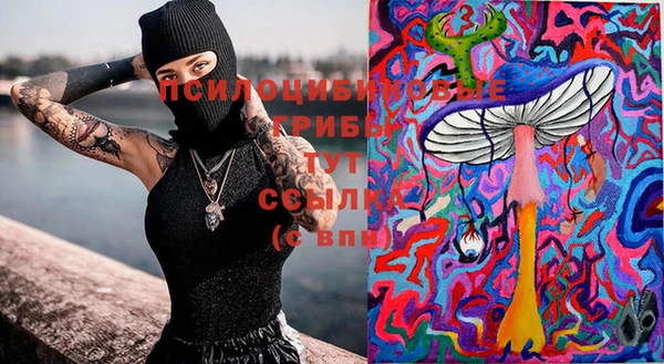 соль ск Алзамай