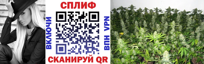 Бошки Шишки Amnesia  купить закладку  Удомля 